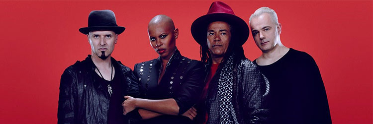 Skunk Anansie image