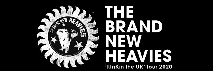 The Brand New Heavies image