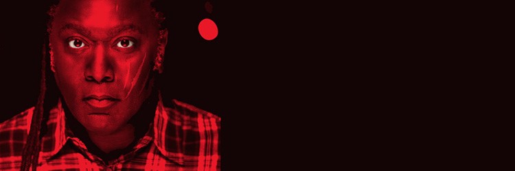 Reginald D Hunter: An American Facing The Beast image