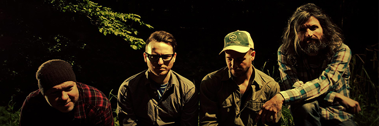 Turin Brakes image