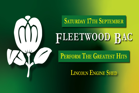 Fleetwood Bac perform 'The Greatest Hits' Image
